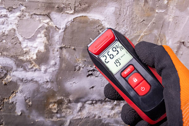 Best Attic Mold Removal  in Port Ewen, NY