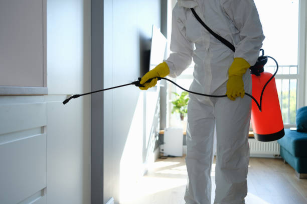 Crawl Space Mold Removal in Port Ewen, NY