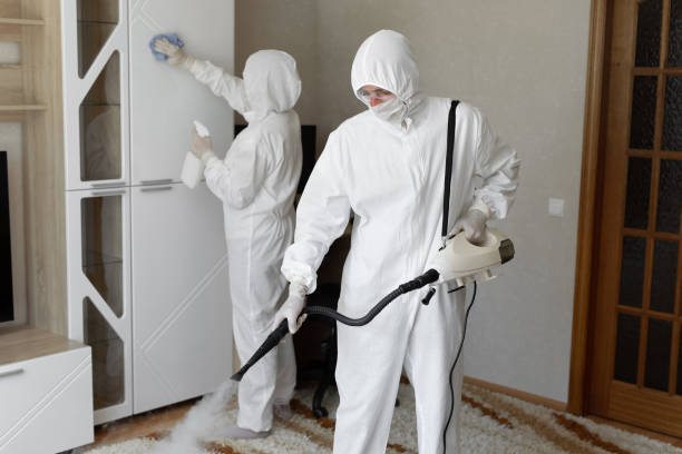 Best Toxic Mold Removal  in Port Ewen, NY